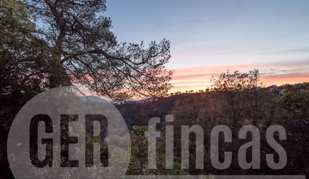 500806_69194524790_12_20161124194925