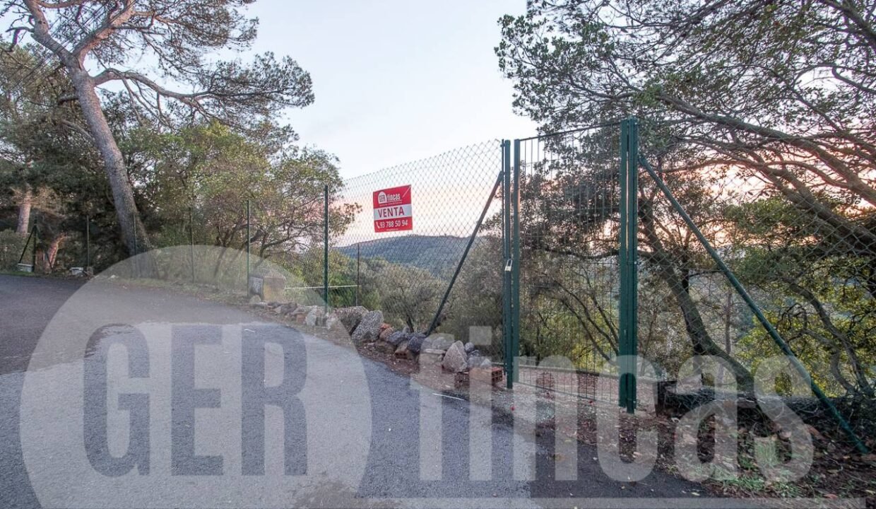 500806_69194524790_1_20161124194917