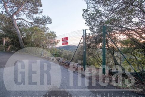 500806_69194524790_1_20161124194917