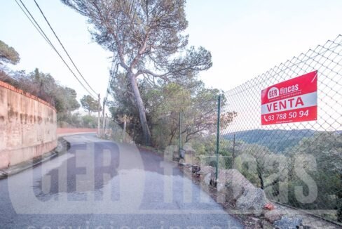 500806_69194524790_2_20161124194918