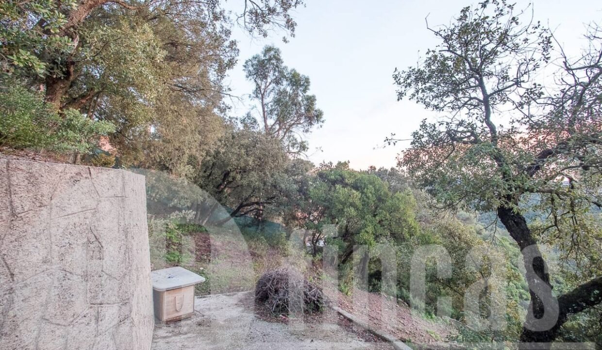 500806_69194524790_4_20161124194919