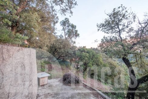 500806_69194524790_4_20161124194919