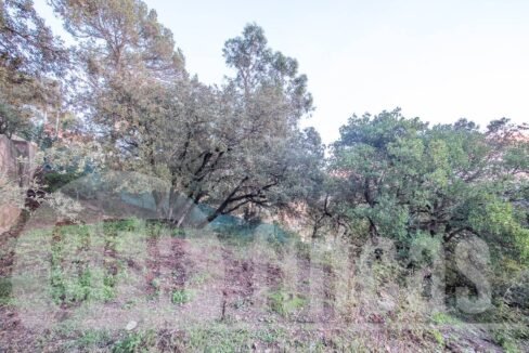 500806_69194524790_5_20161124194920