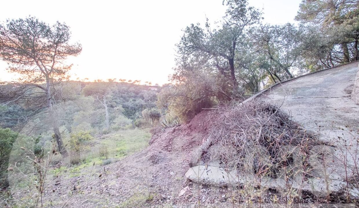 500806_69194524790_6_20161124194921