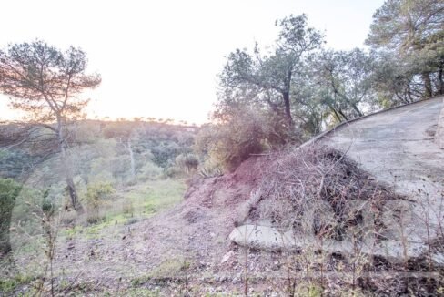 500806_69194524790_6_20161124194921