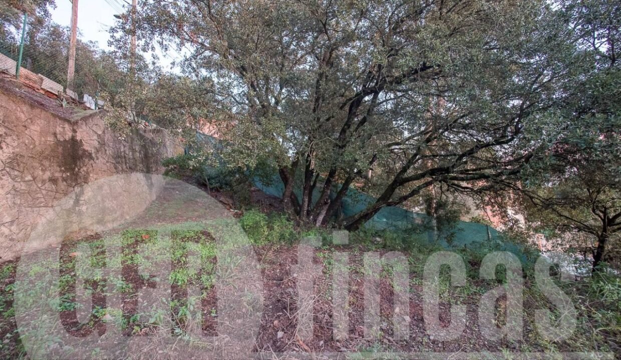 500806_69194524790_7_20161124194921