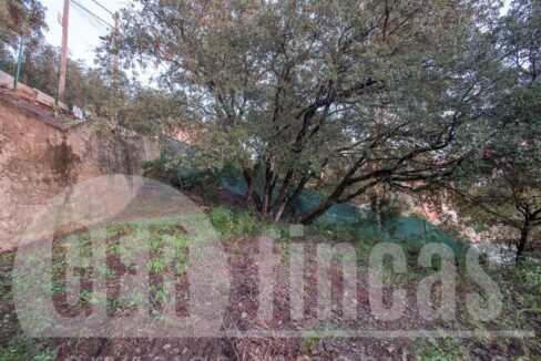 500806_69194524790_7_20161124194921