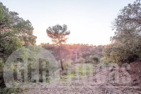 500806_69194524790_8_20161124194922