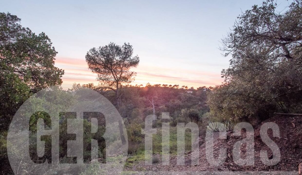 500806_69194524790_9_20161124194923