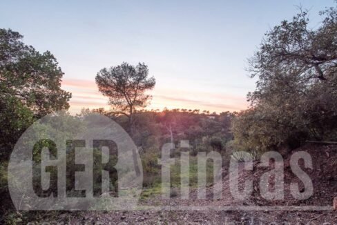 500806_69194524790_9_20161124194923