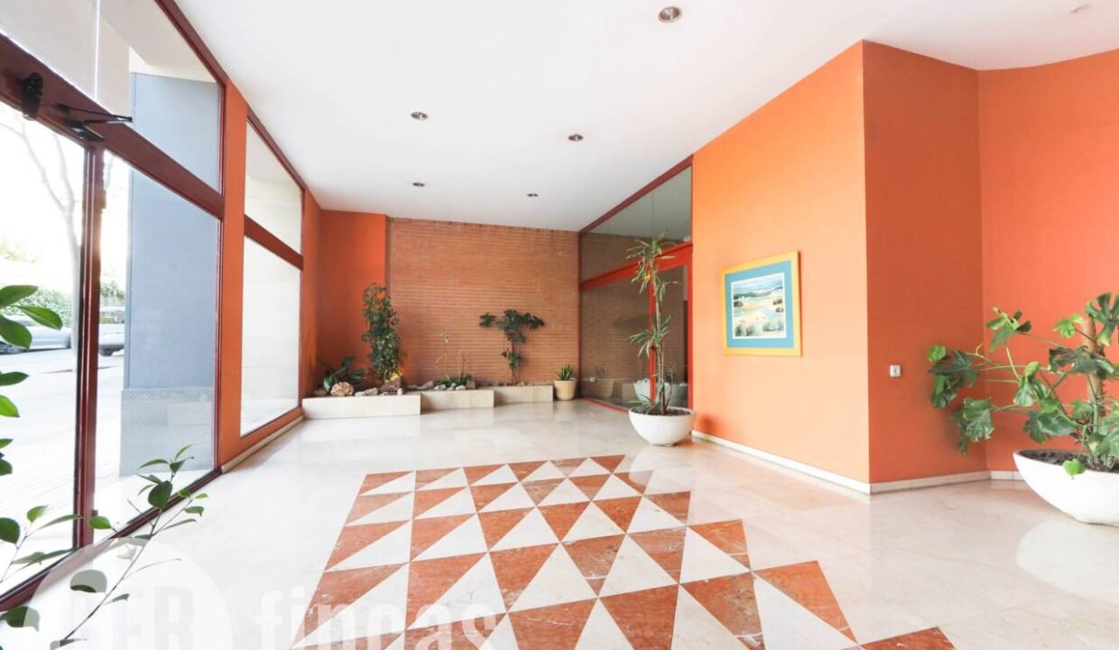 500806_62502209442_a7daf7d3-855d-42aa-a54b-c42765208494