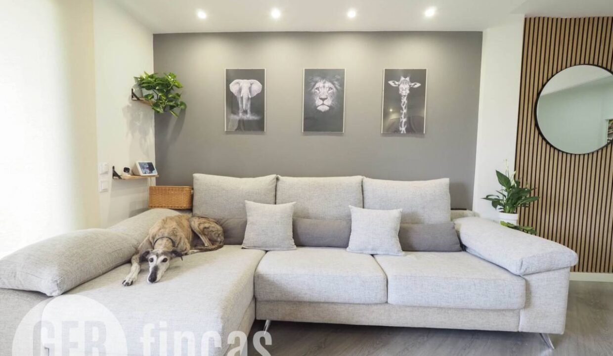 500806_63431703344_2172c20b-a57b-4fa3-9a3b-e7dce8dc3983